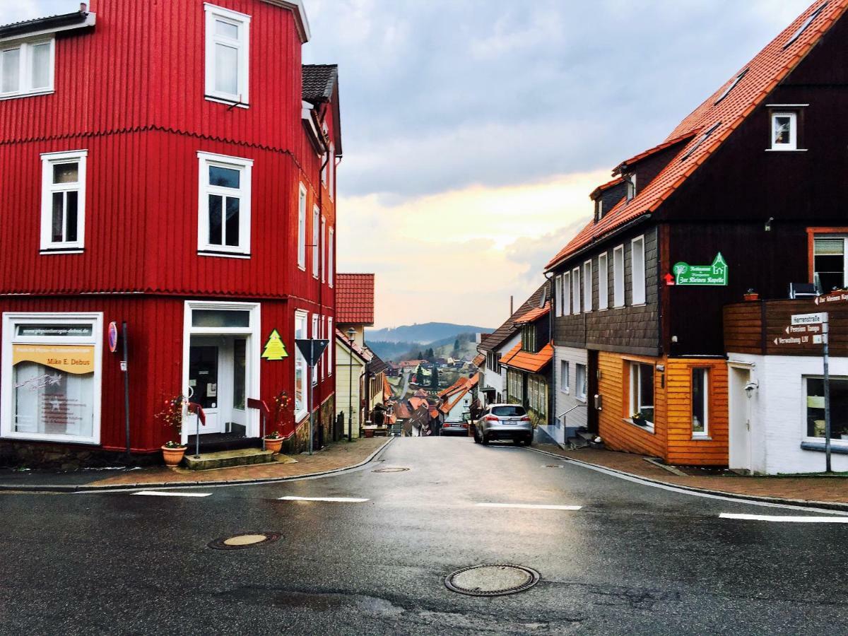 Luchsbutze Leilighet Sankt Andreasberg Eksteriør bilde